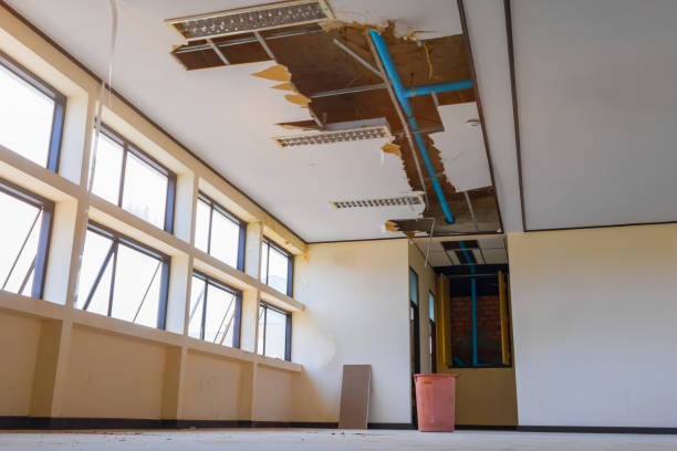 Best Sewage cleanup and water damage restoration  in Bolivar, MO