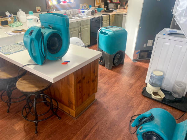 Professional Water damage restoration in Bolivar, MO