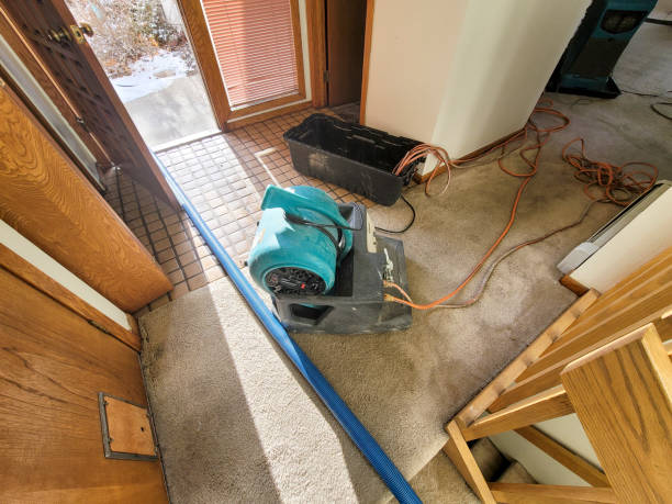 Best Ceiling water damage repair  in Bolivar, MO