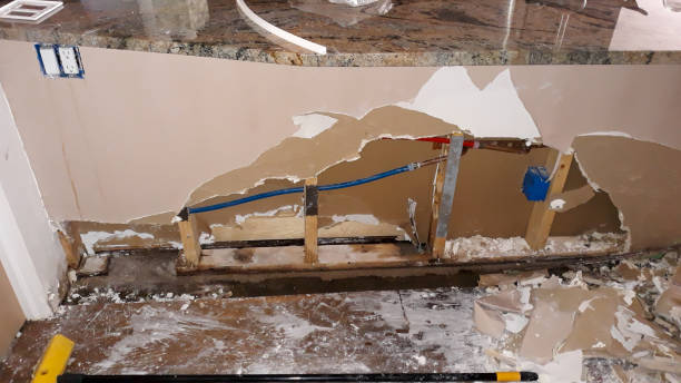 Best Water damage restoration specialists  in Bolivar, MO