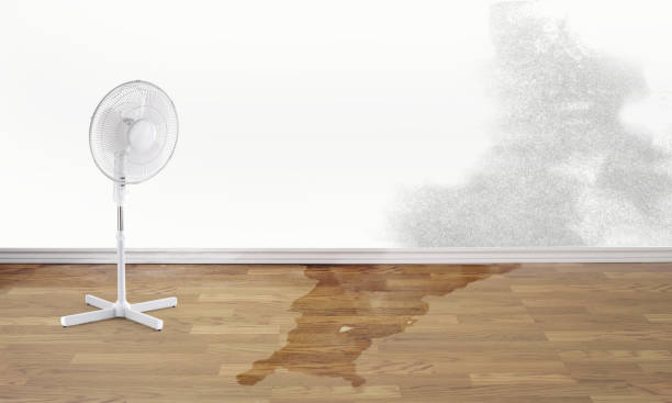 Best 24-hour water damage restoration  in Bolivar, MO