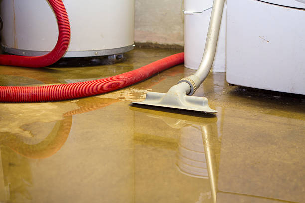 Best Water damage restoration near me  in Bolivar, MO