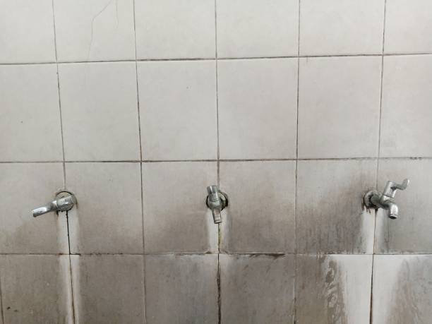 Best Flood restoration services  in Bolivar, MO