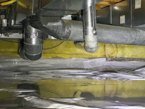 Trusted Bolivar, MO Water damage restoration Experts