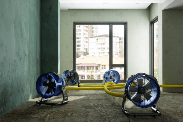 Best 24/7 water damage repair  in Bolivar, MO