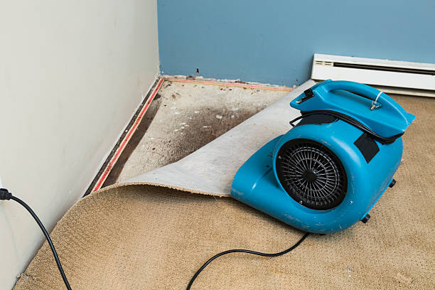 Best Flooded house restoration  in Bolivar, MO